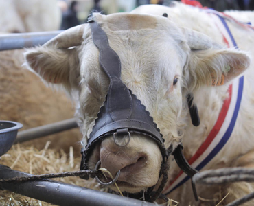 Le temps est venu pour une réforme agricole en profondeur